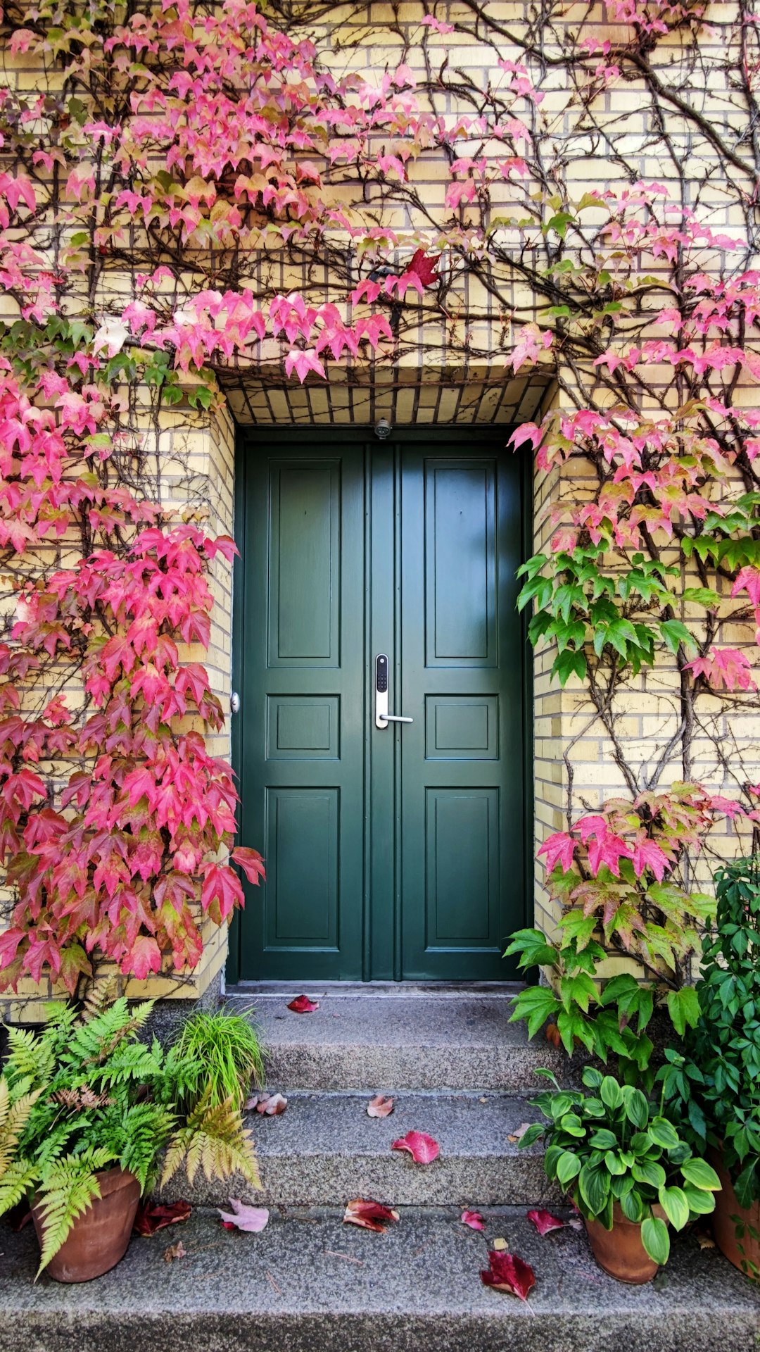 Repair or Replace? What Your Door’s Trying to Tell You